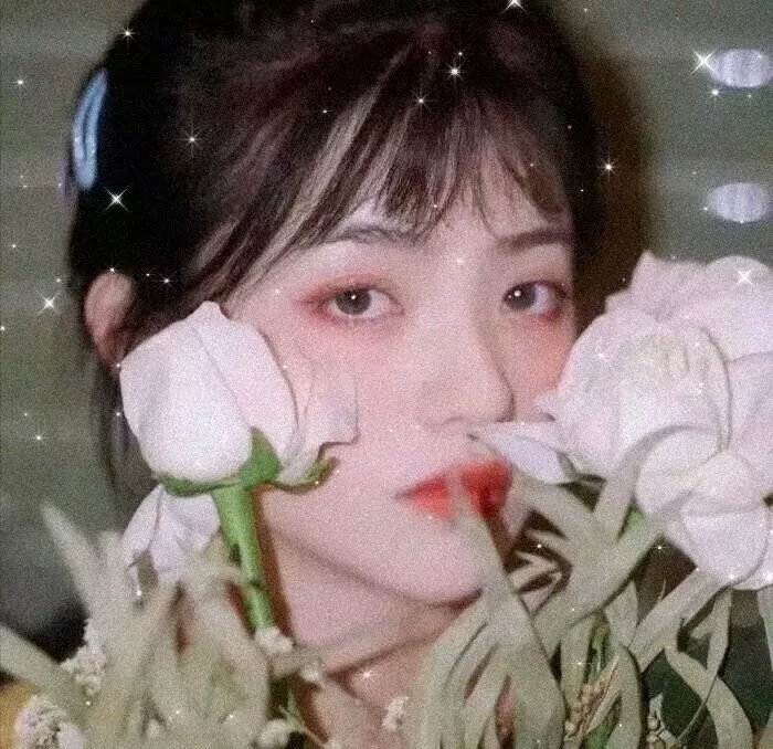 第七号情报员